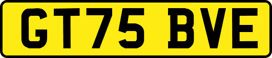 GT75BVE