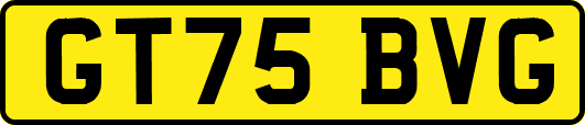GT75BVG