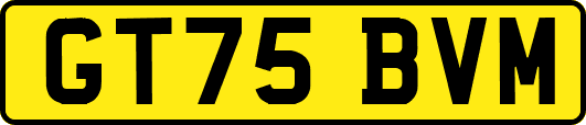 GT75BVM
