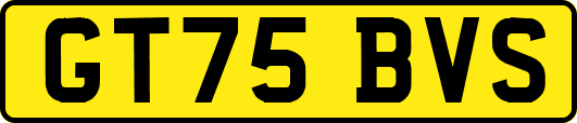 GT75BVS