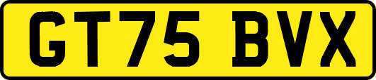 GT75BVX