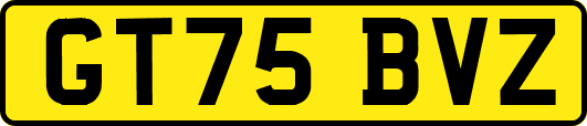 GT75BVZ