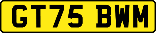 GT75BWM