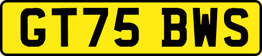 GT75BWS