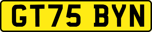 GT75BYN
