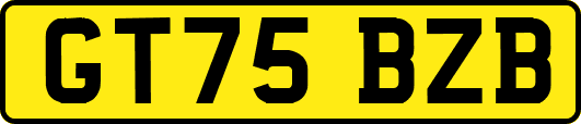 GT75BZB
