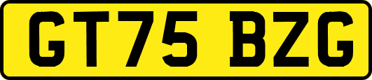 GT75BZG