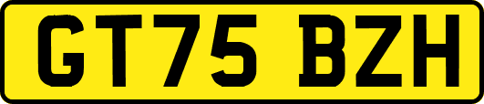 GT75BZH