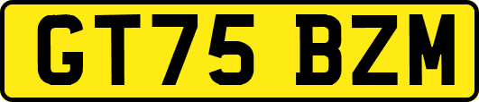 GT75BZM