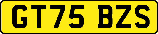 GT75BZS