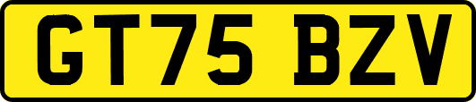 GT75BZV