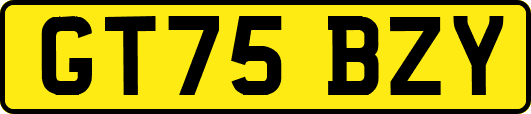 GT75BZY