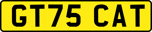 GT75CAT