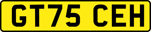 GT75CEH