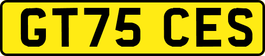 GT75CES