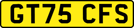 GT75CFS