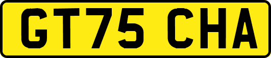 GT75CHA