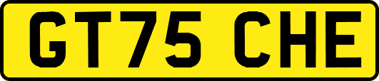 GT75CHE