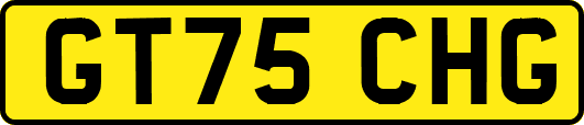 GT75CHG