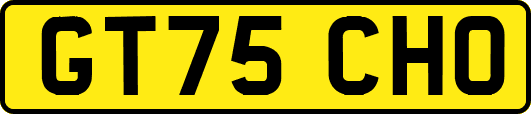 GT75CHO