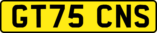 GT75CNS