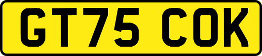 GT75COK