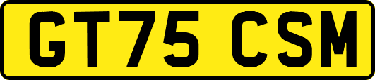 GT75CSM