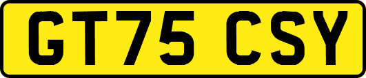GT75CSY