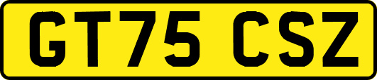 GT75CSZ