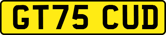 GT75CUD