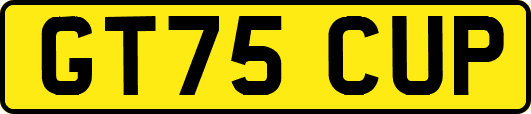 GT75CUP