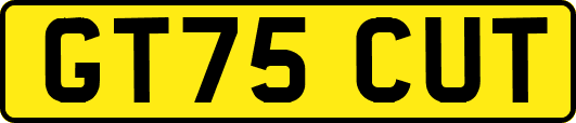 GT75CUT