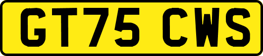 GT75CWS