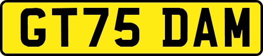 GT75DAM