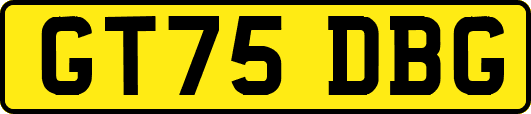 GT75DBG