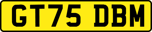 GT75DBM