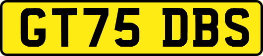 GT75DBS