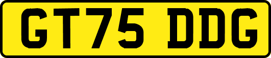 GT75DDG