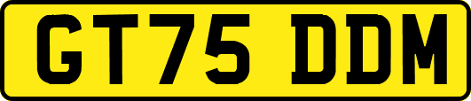 GT75DDM