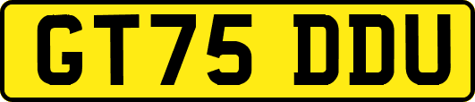 GT75DDU