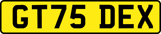 GT75DEX