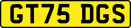 GT75DGS