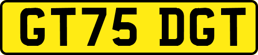 GT75DGT
