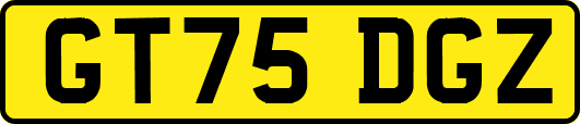 GT75DGZ