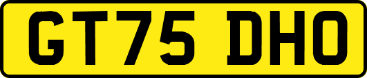 GT75DHO