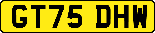 GT75DHW
