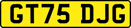 GT75DJG