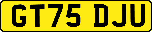 GT75DJU