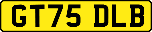 GT75DLB