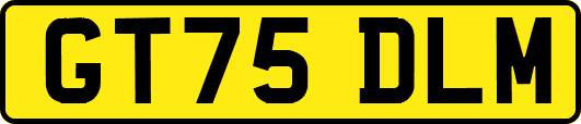 GT75DLM